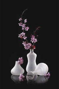 Jarrones esmerilados con flores rosas de Lydia Jacobs