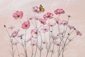  de Lydia Jacobs