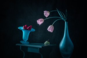  de Lydia Jacobs