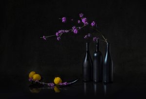  de Lydia Jacobs