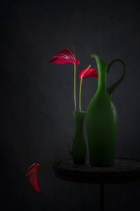 de Lydia Jacobs