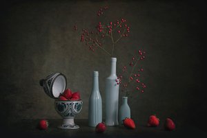  de Lydia Jacobs
