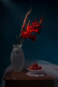  de Lydia Jacobs