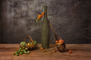  de Lydia Jacobs