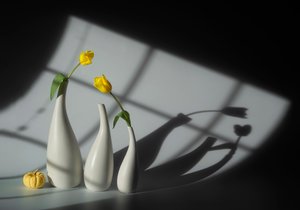  de Lydia Jacobs