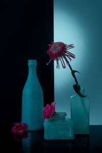  de Lydia Jacobs