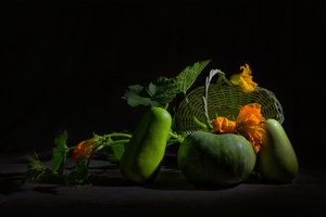  de Lydia Jacobs