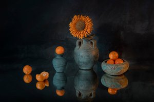  de Lydia Jacobs