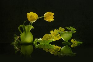Tulipanes amarillos y uvas verdes de Lydia Jacobs