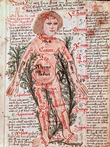 Medicina: influencia del zodiaco en las enfermedades humanas (Miniatura)