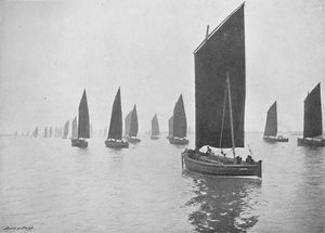 Barcos de arenque frente al Tyne, c. 1896 de M. Aunty