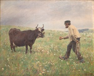 Una vaca suelta