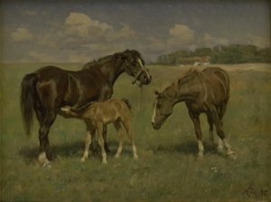 Tres caballos en un campo de M. Therkildsen