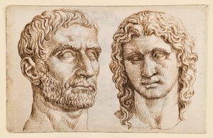 Cabeza de un hombre mayor, cabeza de un joven de Maarten van Heemskerck