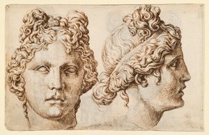 Dos vistas de una cabeza antigua de Maarten van Heemskerck