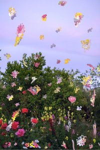 Flores abstraídas, 2019 (pintura acrílica sobre impresión de pigmento de archivo) de Madeleine Gross