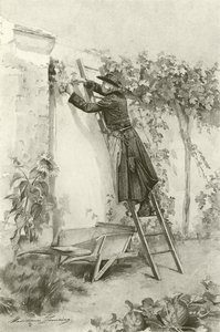 Abate Constantin (grabado) de Madeleine Lemaire