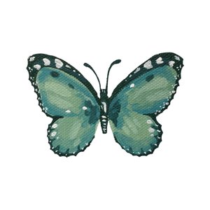 Elegante mariposa verde azulada de Madison Phipps