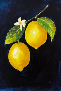 Limones de colores vivos de Madison Phipps