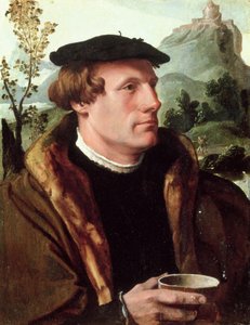 Retrato de un Caballero de Maerten van Heemskerck