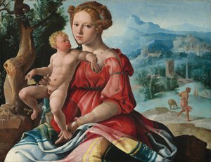  de Maerten van Heemskerck