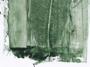 Resumen: Bosque verde de Maira Ribena