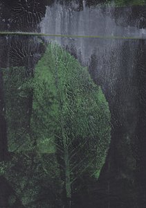 Hoja verde abstracta