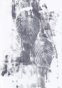 Texturas abstractas de hojas de Maira Ribena