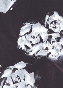 Estampado floral blanco abstracto de Maira Ribena