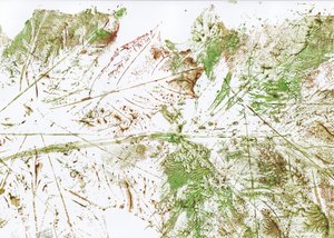 Hoja abstracta