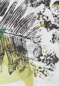 Capas de escritura botánica de Maira Ribena