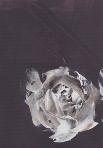 Rosa abstracta oscura de Maira Ribena
