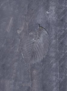 Impresión de hoja oscura de Maira Ribena