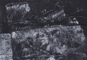 Textura orgánica oscura de Maira Ribena