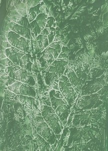 Textura de hoja verde intenso de Maira Ribena