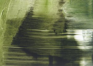 Resumen de «Fluid Green»