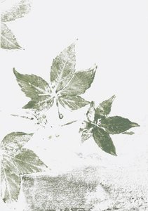 Impresiones de hoja verde de Maira Ribena