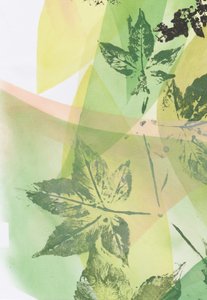 Superposiciones de hojas verdes