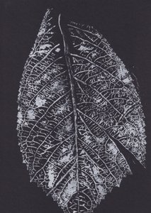 Diseño de hojas en blanco y negro