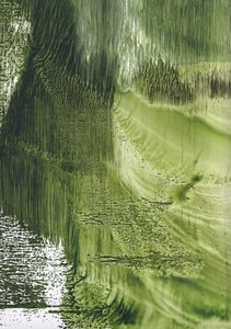Flujo verde ecológico de Maira Ribena