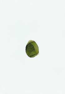 Fluido verde ecológico de Maira Ribena