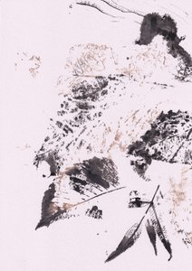 Hojas de tinta serenas de Maira Ribena