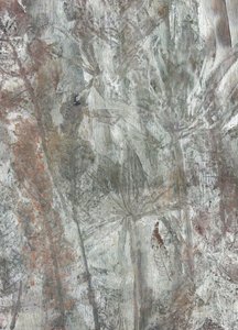 Formas naturales sutiles