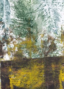 Suelo forestal con textura de Maira Ribena