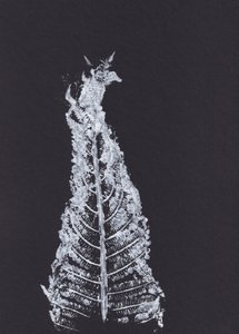 Silueta de helecho blanco