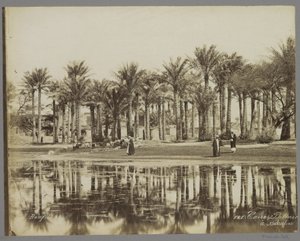 Hombres con cabras bajo palmeras junto al agua en Bedrechen Caire, Palmie[(...)] à Bedrecken (título sobre objeto) de Maison Bonfils