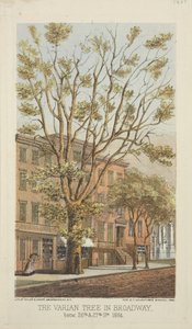 El árbol Varian en Broadway, entre las calles 26 y 27, 1864 de Major and Knapp