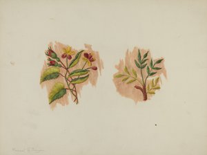 Fragmento de enagua de seda, c. 1939 de Manuel G. Runyan