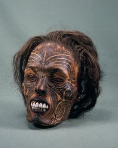 Cabeza de jefe tribal, tatuada y momificada, civilización maorí de Maori Maori