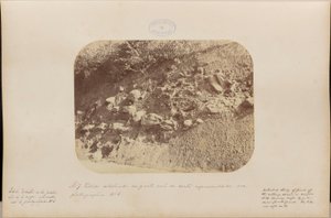Estudio detallado de la parte sur de la sección mostrada en la fotografía número 6